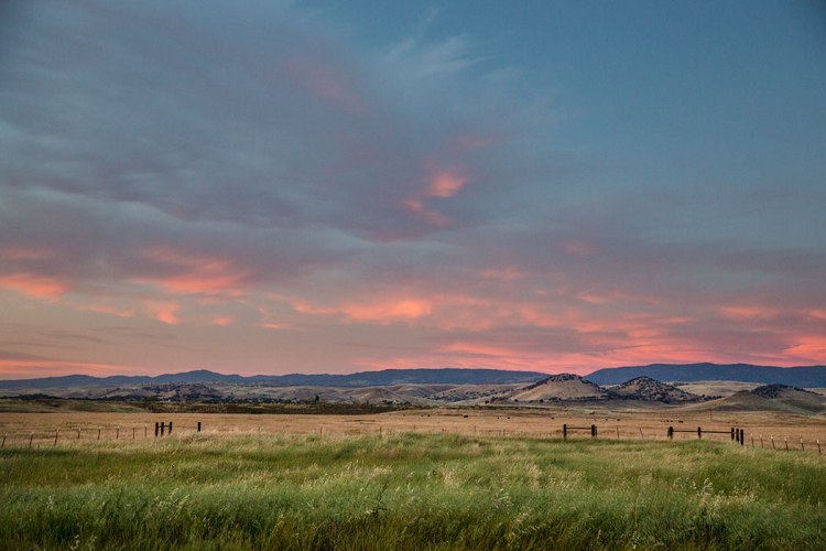 Merced Ranch-Louie-110