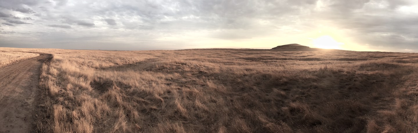 FMR grasslands