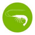 Icon_Crustaceans_120w