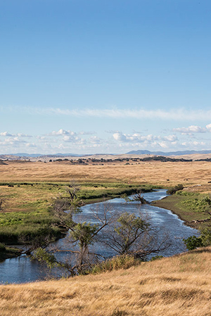 FMR_BurnsCreek_1_300w