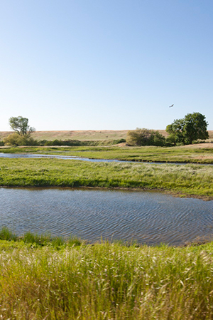 FMR_LittleBearCreek_2_300w