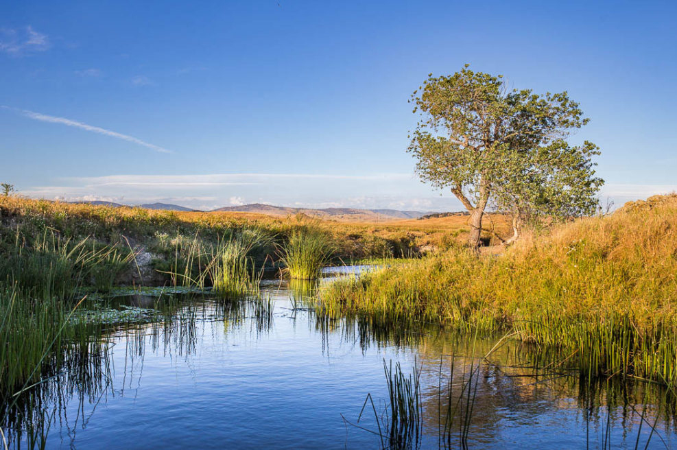 FMR_StreamsCreeks_7_987w