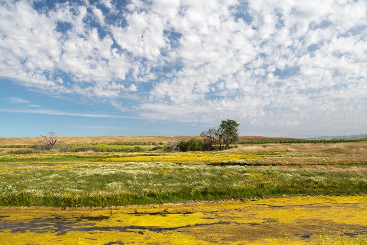 Merced Ranch-Louie-039