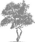 Tree_Graphic_Test_8a_115w_2