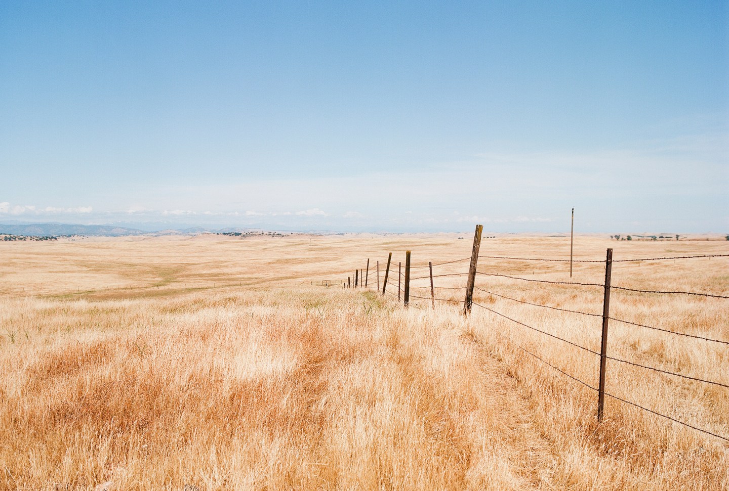 Flying M Ranch about us header image