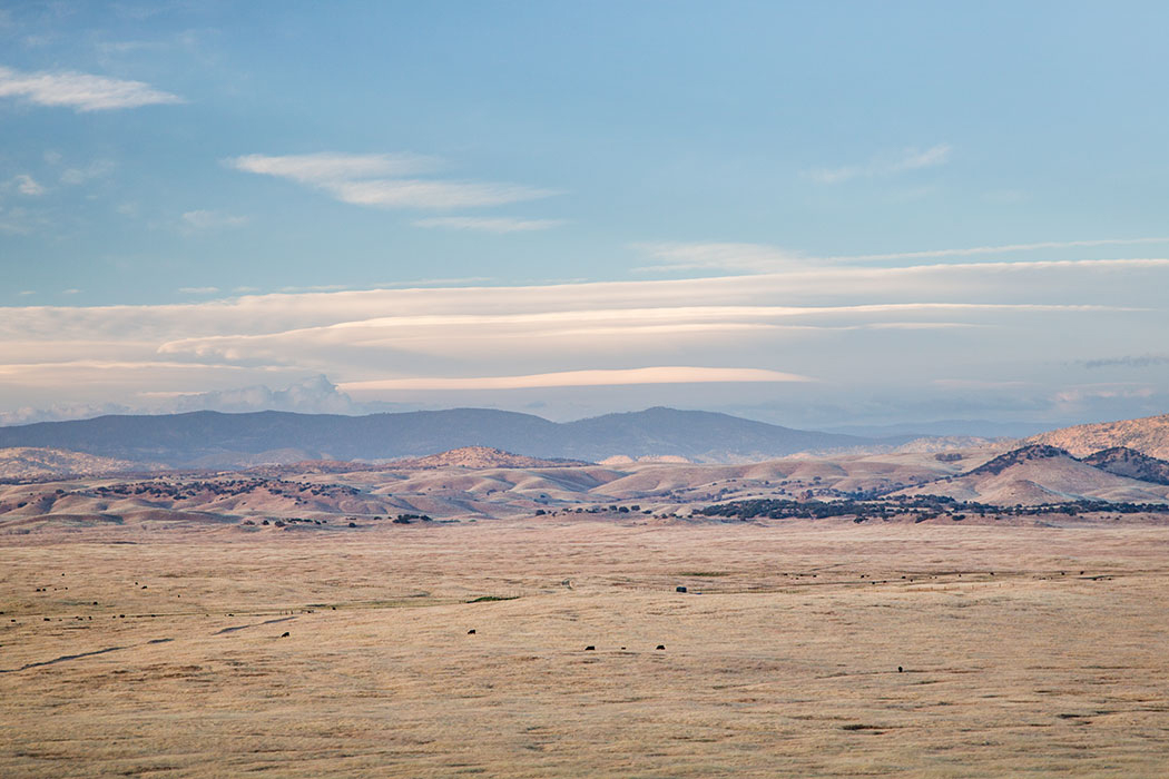 Flying M Ranch contact us header image